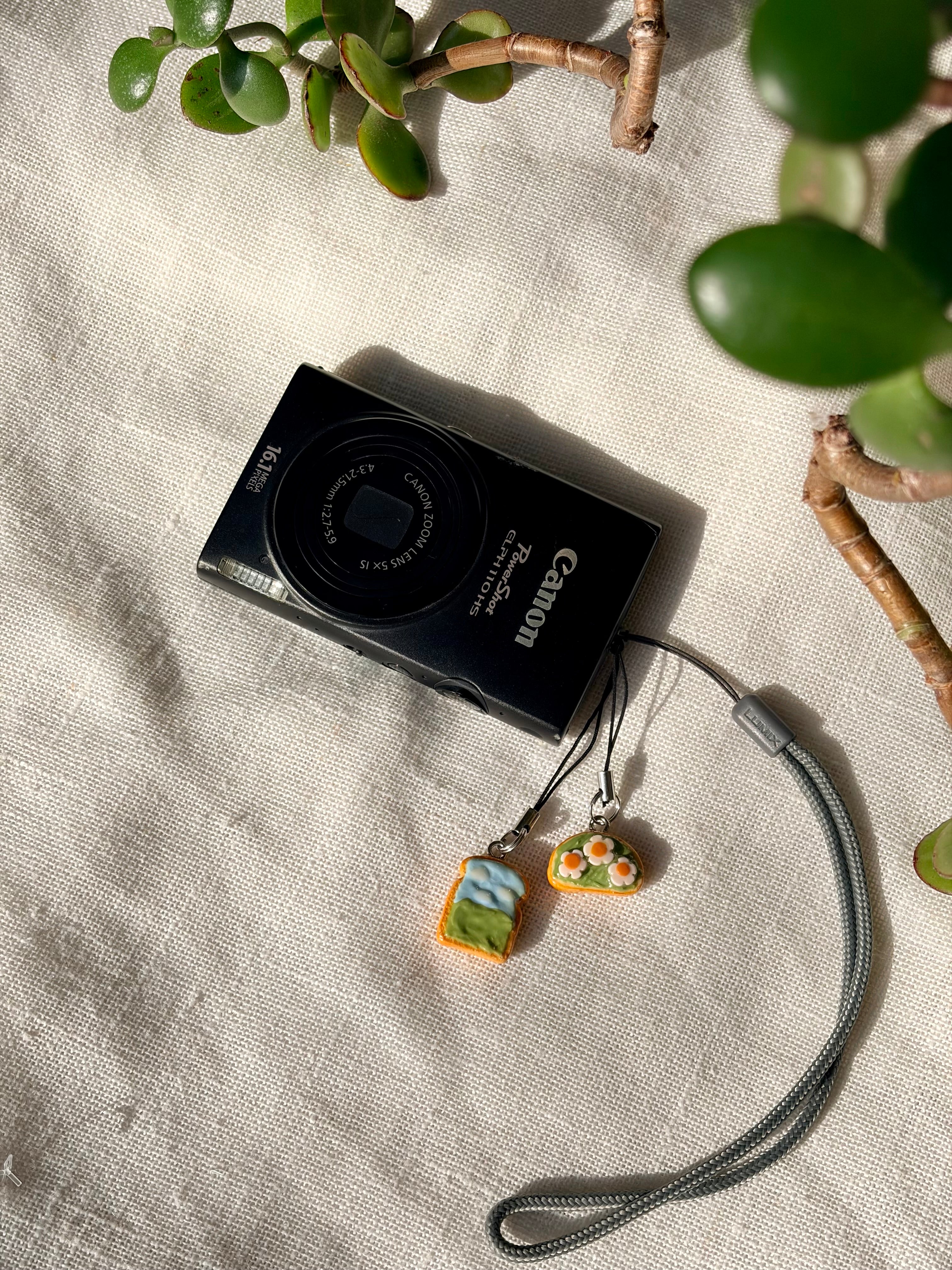 CHARMS